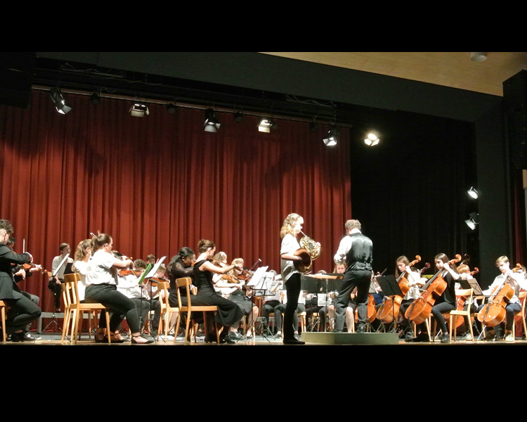 Rjso Regionales Jugendsinfonieorchester Solothurn